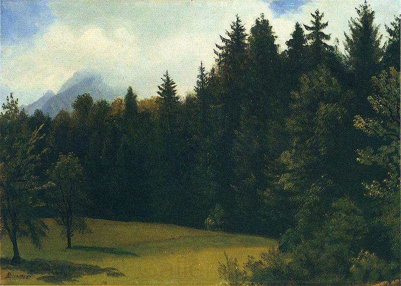 Albert Bierstadt Greater San Francisco Area (Mountain Glade and Mountain Resort) Norge oil painting art